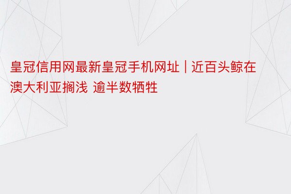 皇冠信用网最新皇冠手机网址 | 近百头鲸在澳大利亚搁浅 逾半数牺牲