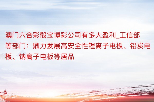 澳门六合彩骰宝博彩公司有多大盈利_工信部等部门：鼎力发展高安全性锂离子电板、铅炭电板、钠离子电板等居品