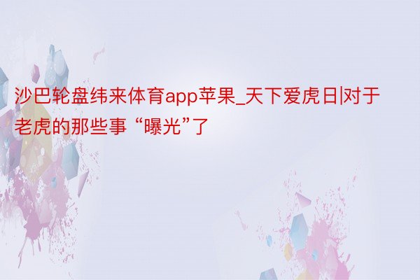 沙巴轮盘纬来体育app苹果_天下爱虎日|对于老虎的那些事 “曝光”了