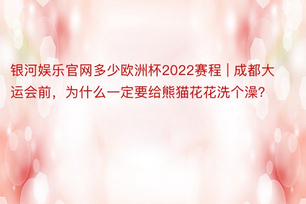 银河娱乐官网多少欧洲杯2022赛程 | 成都大运会前，为什么一定要给熊猫花花洗个澡？