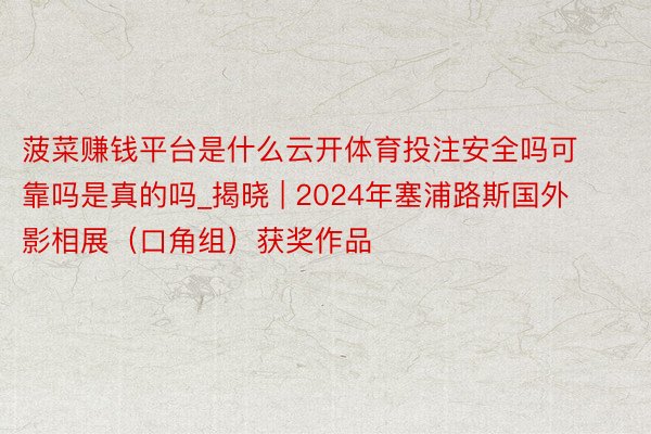 菠菜赚钱平台是什么云开体育投注安全吗可靠吗是真的吗_揭晓 | 2024年塞浦路斯国外影相展（口角组）获奖作品