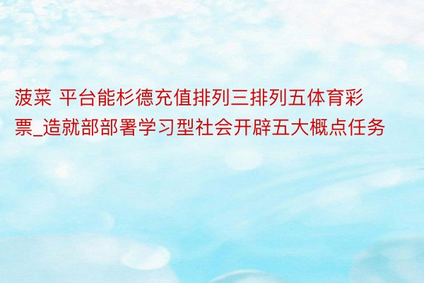 菠菜 平台能杉德充值排列三排列五体育彩票_造就部部署学习型社会开辟五大概点任务
